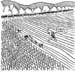 20131013plough